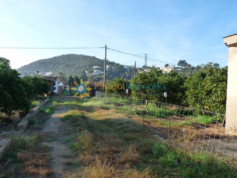 Plot for Sale in Oliva, Valencia 3