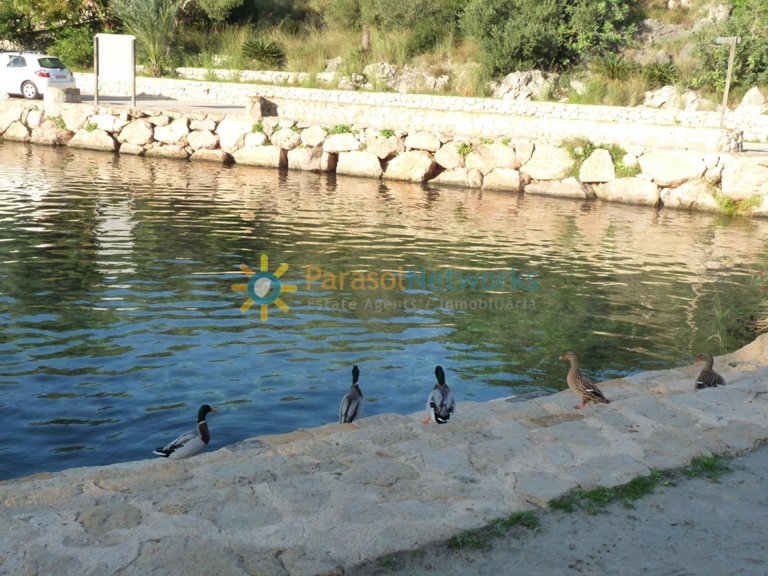 Plot for Sale in Oliva, Valencia 12