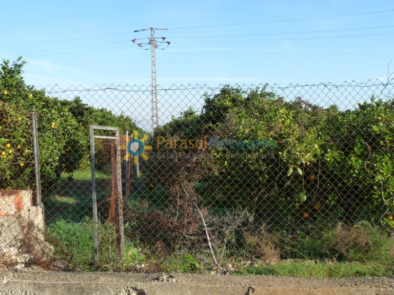 Plot for Sale in Oliva, Valencia 2