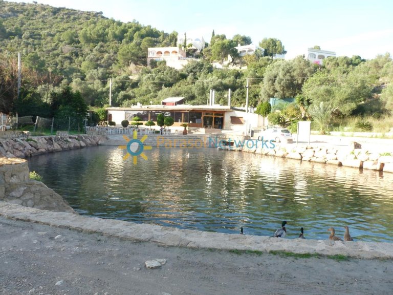 Plot for Sale in Oliva, Valencia 11