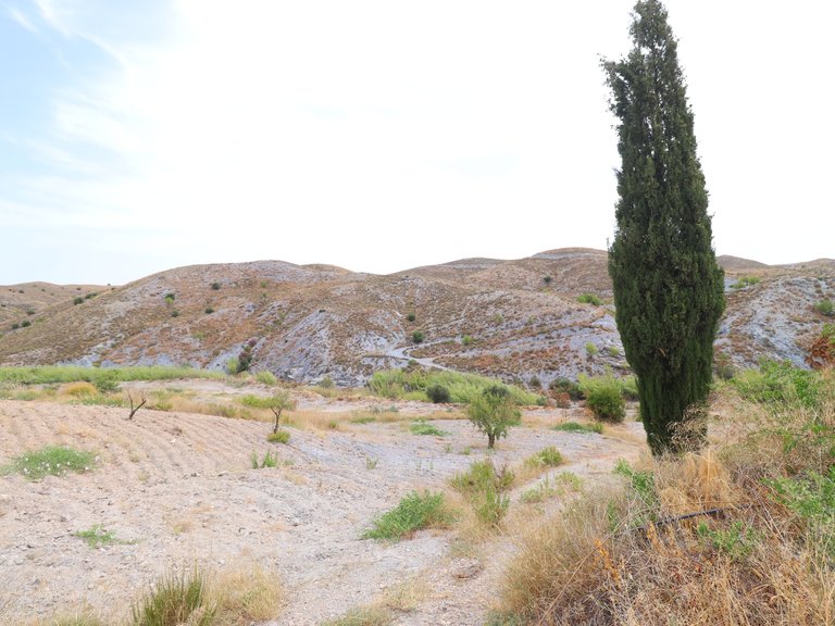 Country House for Sale in Puerto Lumbreras, Murcia 22