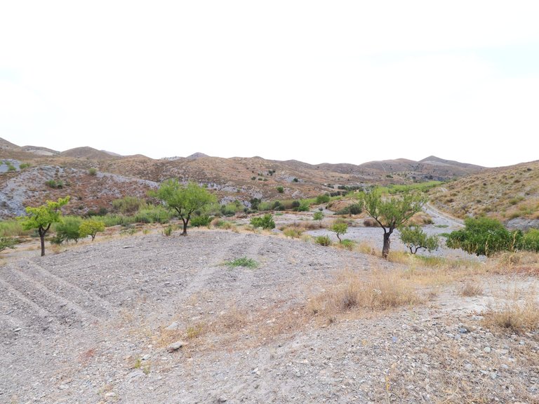 Country House for Sale in Puerto Lumbreras, Murcia 27