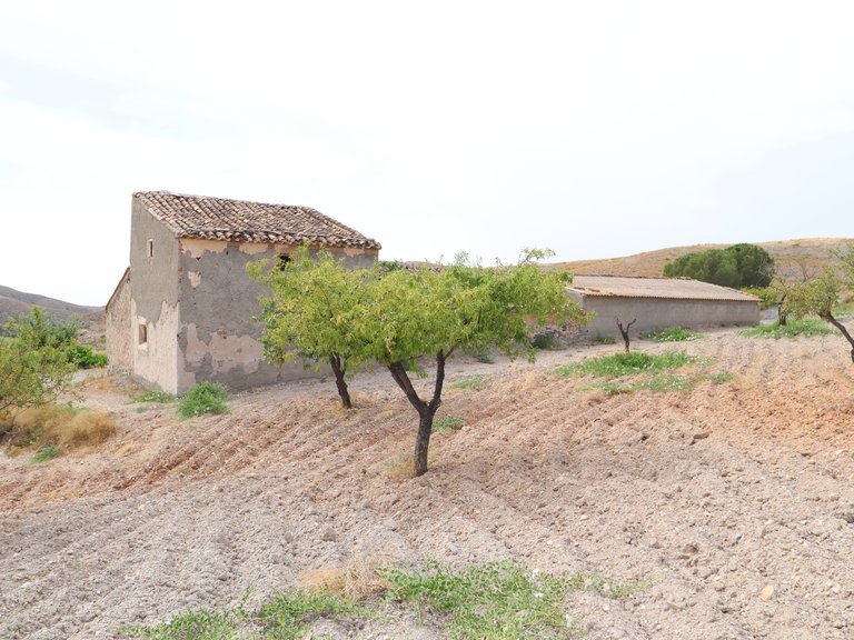 Country House for Sale in Puerto Lumbreras, Murcia 25