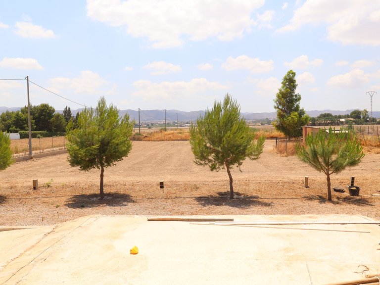 Villa for Sale in Lorca, Murcia 45