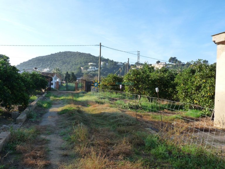 Plot for Sale in Oliva, Valencia 1