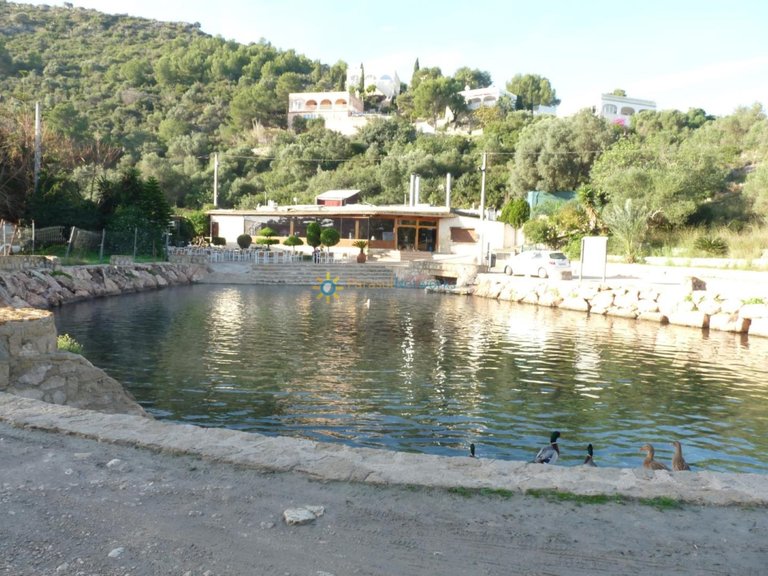 Plot for Sale in Oliva, Valencia 13