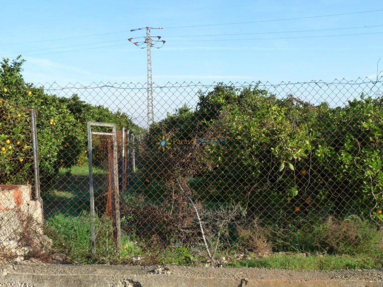 Plot for Sale in Oliva, Valencia 3