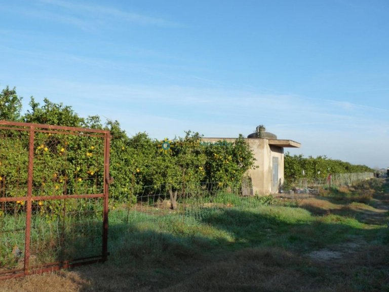 Plot for Sale in Oliva, Valencia 2