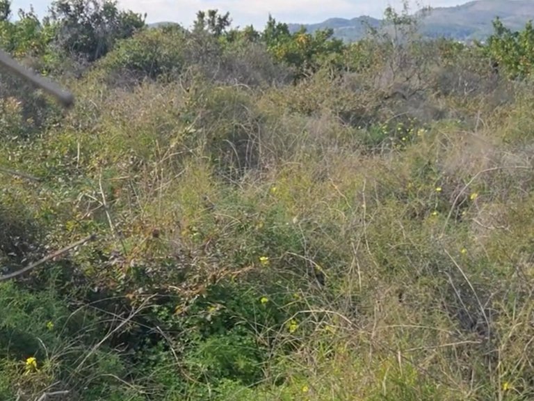 Plot for Sale in Gandia, Valencia 3
