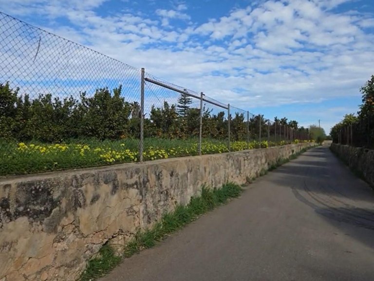 Plot for Sale in Gandia, Valencia 7