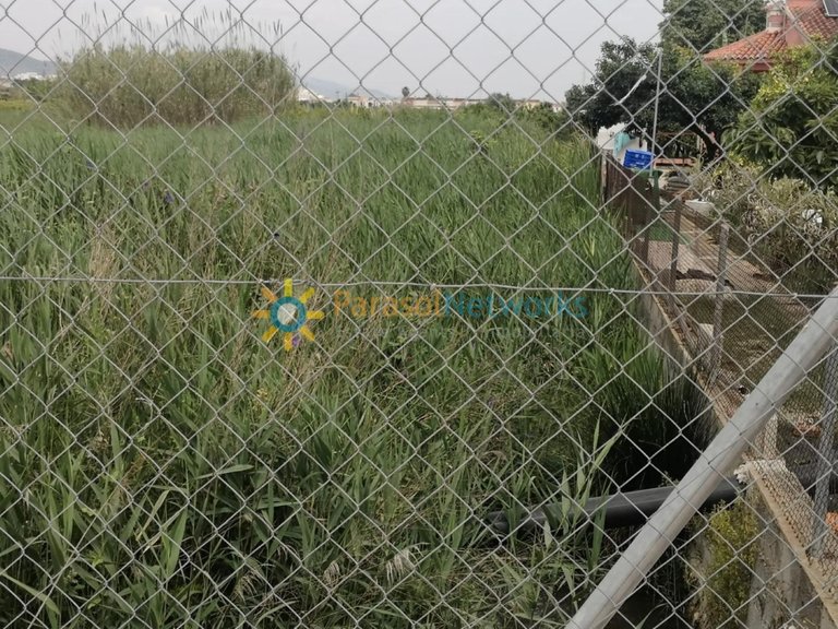 Plot for Sale in Guardamar De La Safor, Valencia 7