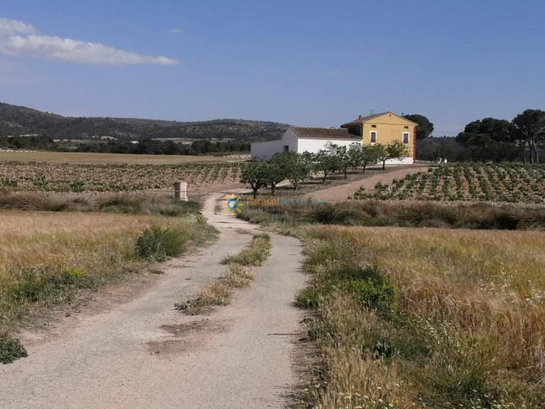 Villa for Sale in Villena, Alicante 39