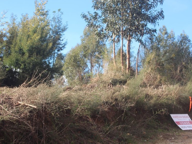 Plot for Sale in Santo Tirso, Porto 20