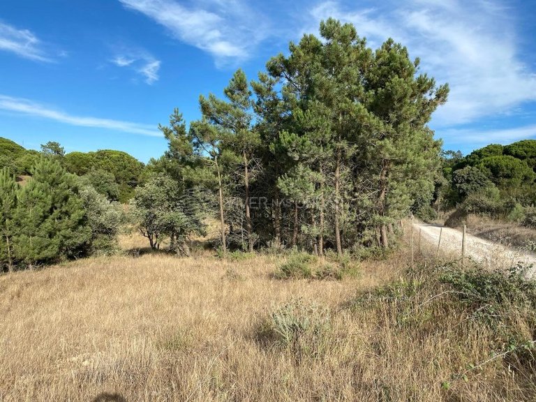 Plot for Sale in Sesimbra, Setubal 4