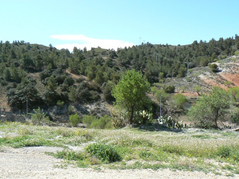 Country House for Sale in Lorca, Murcia 4