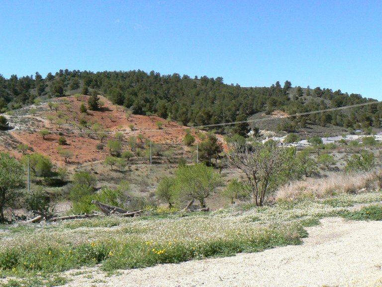 Country House for Sale in Lorca, Murcia 36