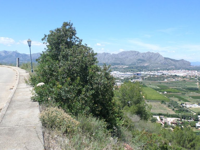 Plot for Sale in Inland La Sella Golf, Alicante 5