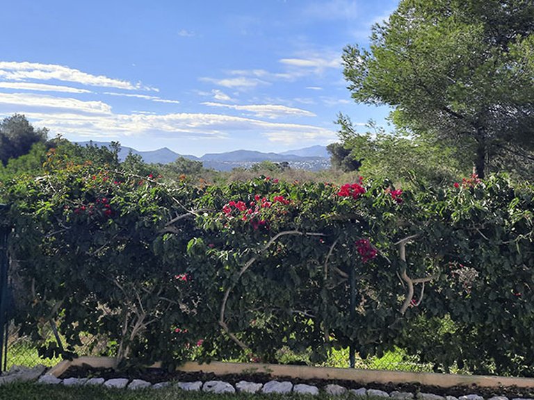 Villa for Sale in Costa Blanca Denia, Alicante 43