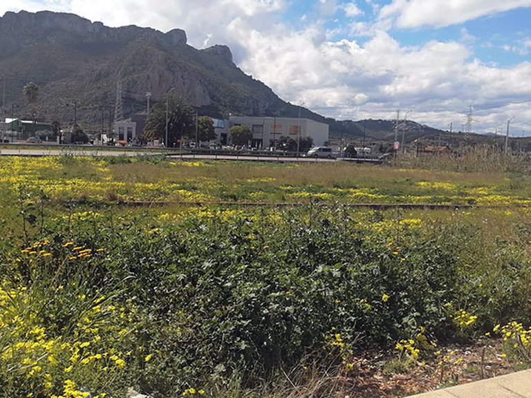 Plot for Sale in Costa Blanca El Vergel, Alicante 5