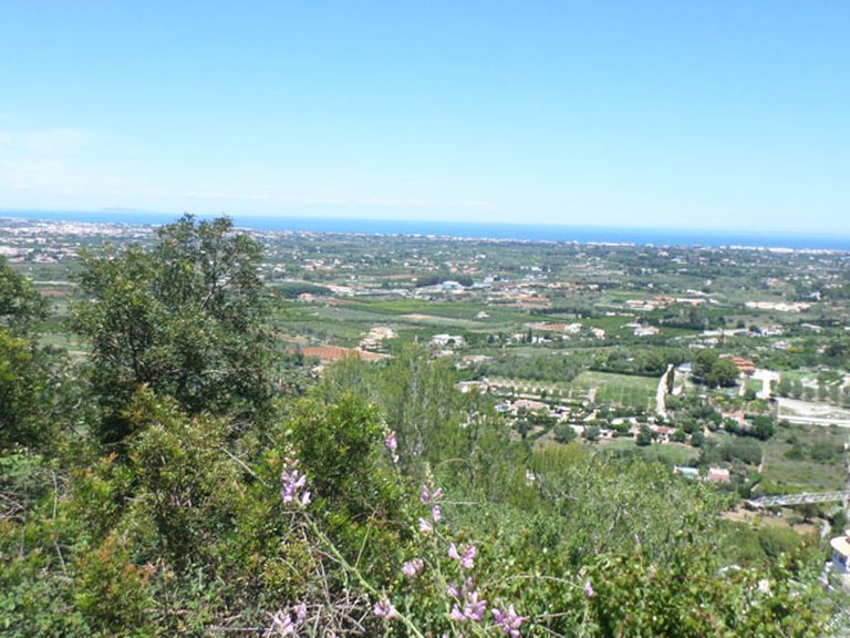Plot for Sale in Inland La Sella Golf, Alicante 1