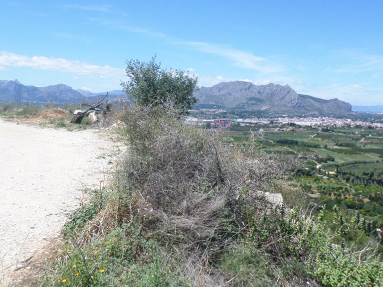 Plot for Sale in Inland La Sella Golf, Alicante 4