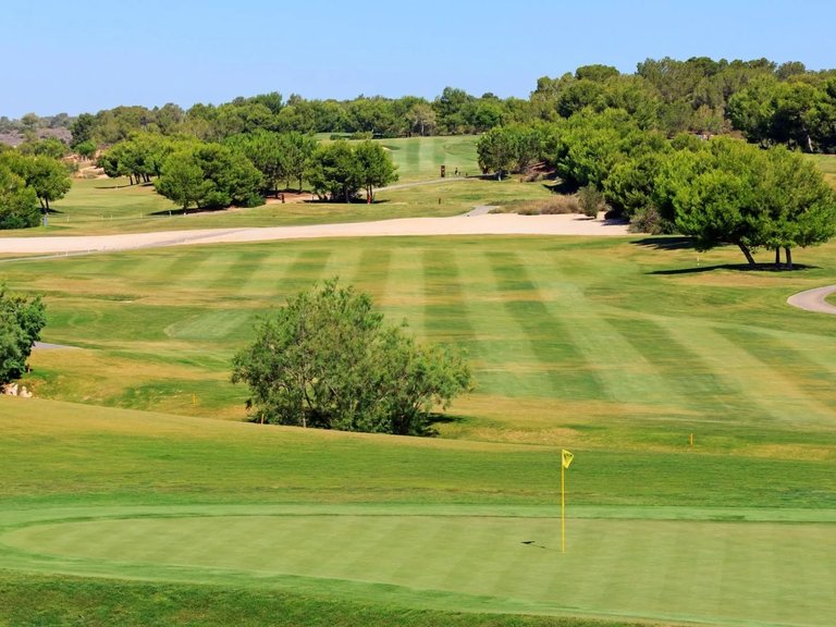 Villa for Sale in Pilar De La Horadada, Alicante 27