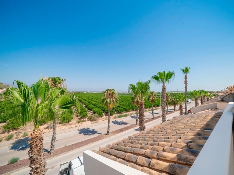 Town House for Sale in Algorfa, Alicante 30