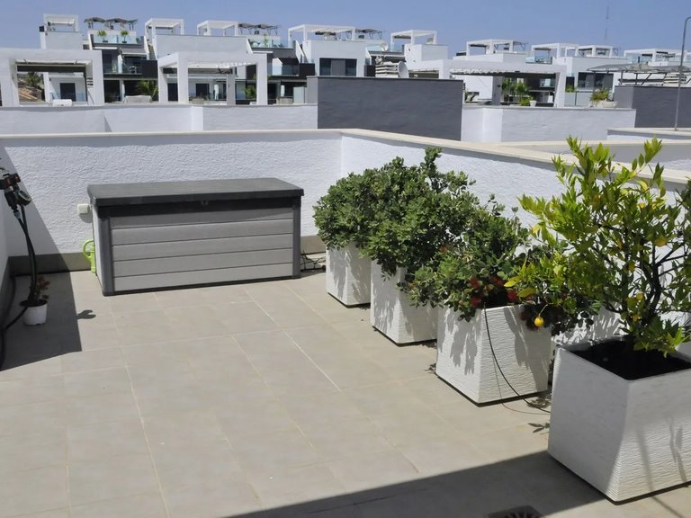 Villa for Sale in Guardamar Del Segura, Alicante 32