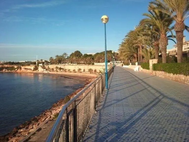 Apartment for Sale in Torrevieja, Alicante 42