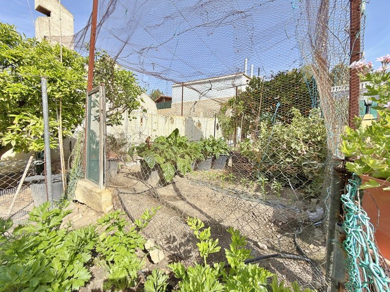 Villa for Sale in San Miguel De Salinas, Alicante 31