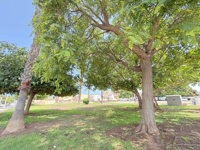 Town House for Sale in Torrevieja, Alicante 4