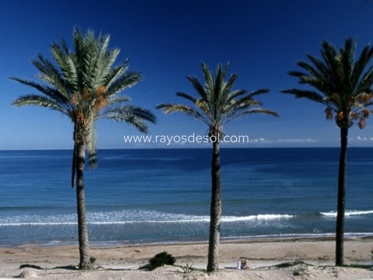 Apartment for Sale in Pilar De La Horadada, Alicante 9