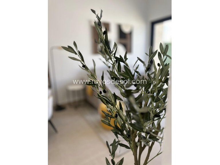 Apartment for Sale in San Fulgencio, Alicante 16