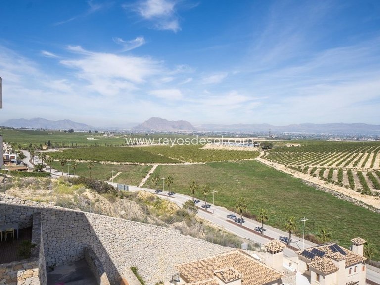 Villa for Sale in Algorfa, Alicante 27