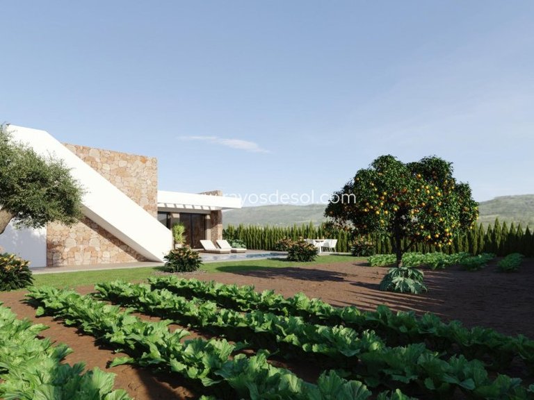 Villa for Sale in Fuente Álamo, Murcia 11