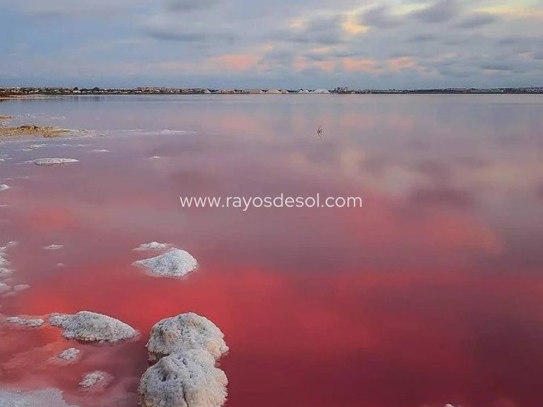 Apartment for Sale in Torrevieja, Alicante 21