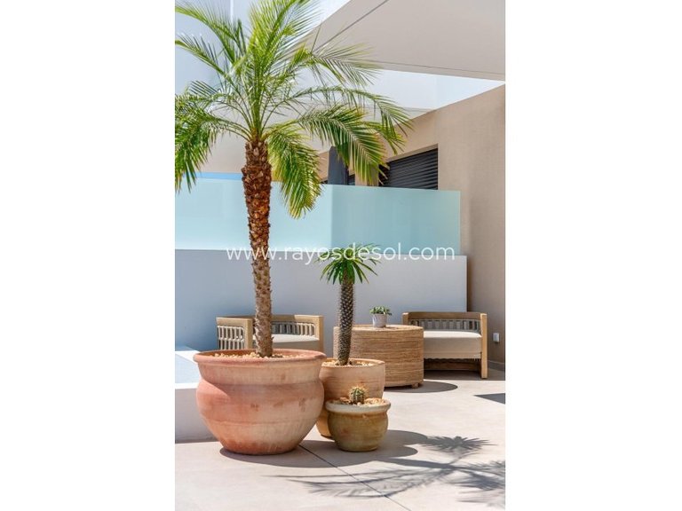 Villa for Sale in Dolores, Alicante 22