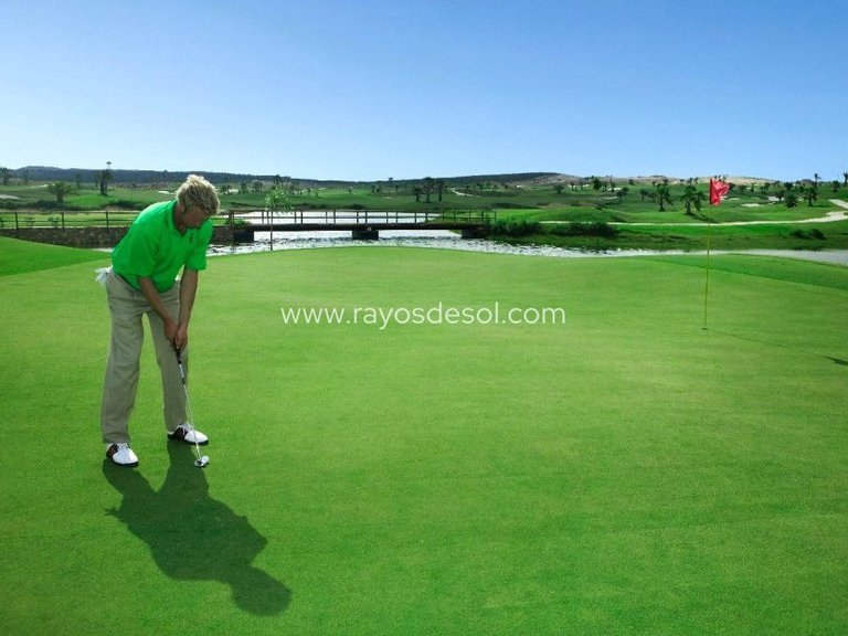 Villa for Sale in Vistabella Golf, Alicante 5