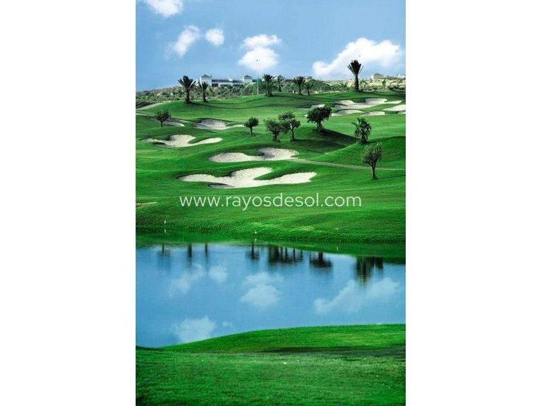 Villa for Sale in Vistabella Golf, Alicante 7