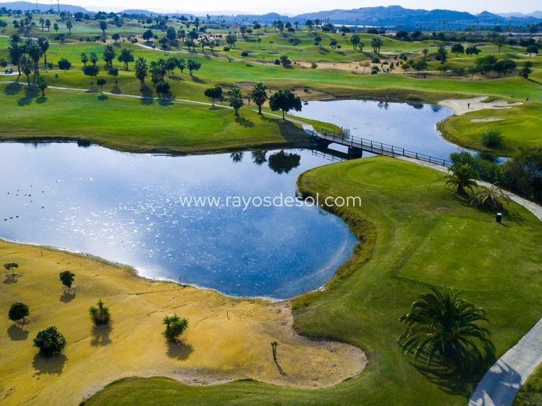 Villa for Sale in Vistabella Golf, Alicante 11