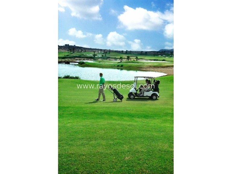 Villa for Sale in Vistabella Golf, Alicante 6