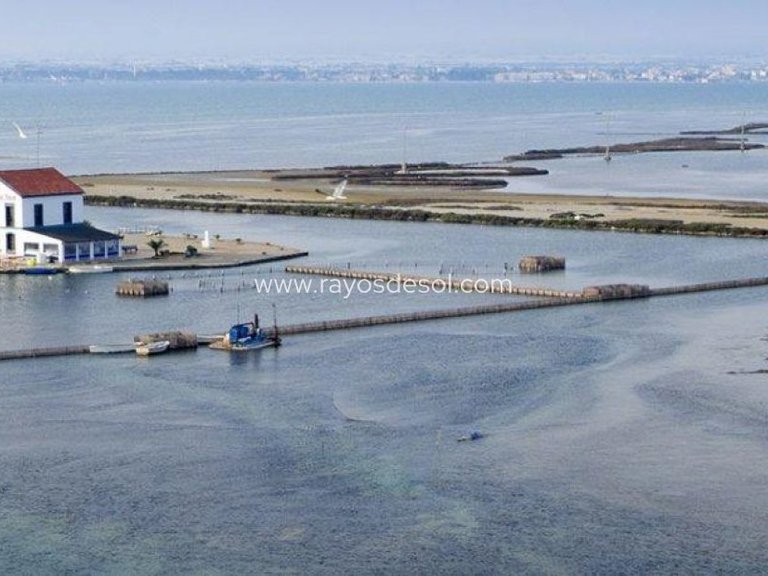 Villa for Sale in San Pedro Del Pinatar, Murcia 9