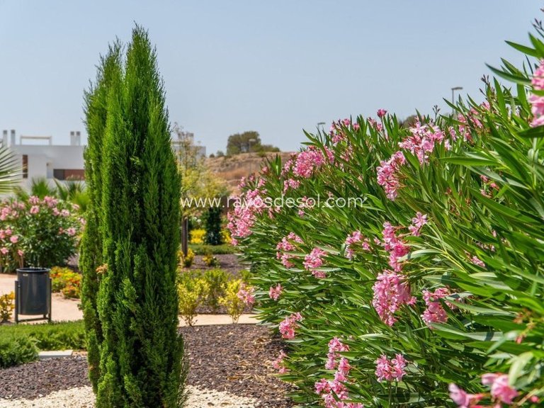 Apartment for Sale in Vistabella Golf, Alicante 25