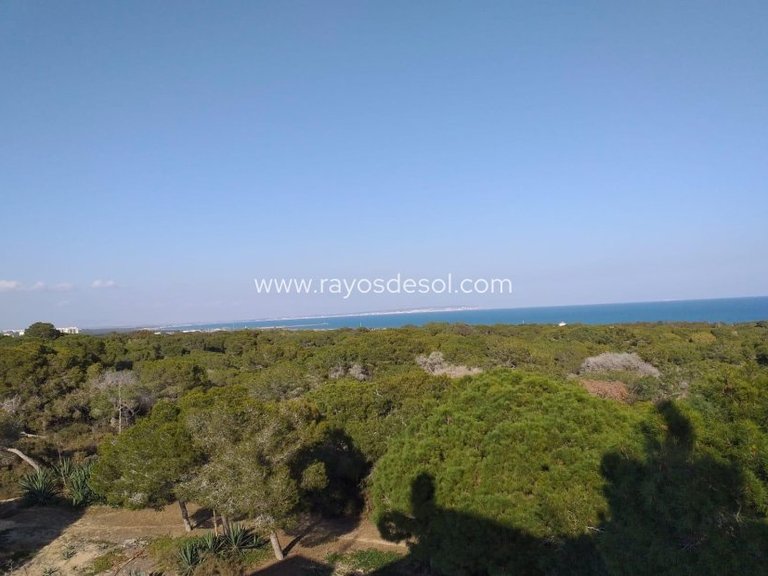 Apartment for Sale in Guardamar Del Segura, Alicante 4