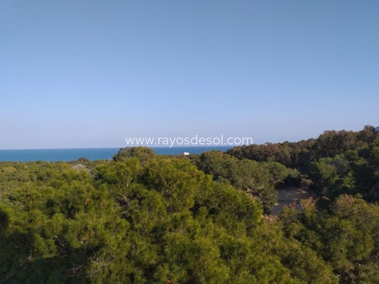 Apartment for Sale in Guardamar Del Segura, Alicante 13