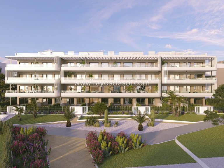Apartment for Sale in Torrevieja, Alicante 15