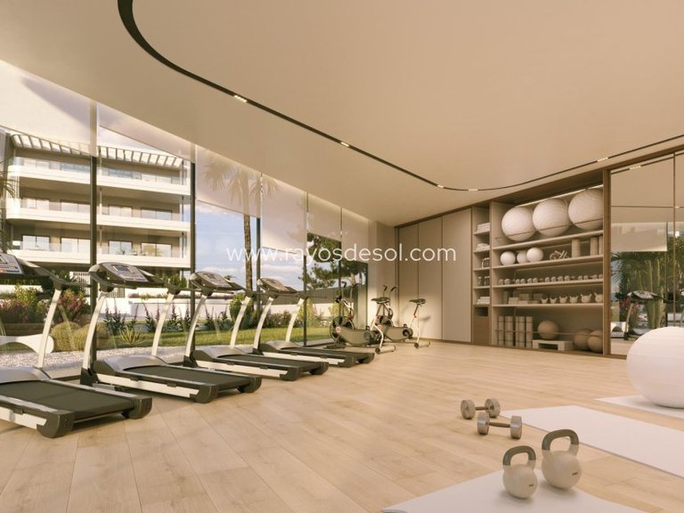 Apartment for Sale in Torrevieja, Alicante 14