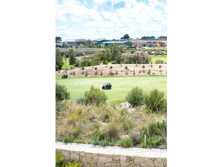 Apartment for Sale in Pilar De La Horadada, Alicante 17
