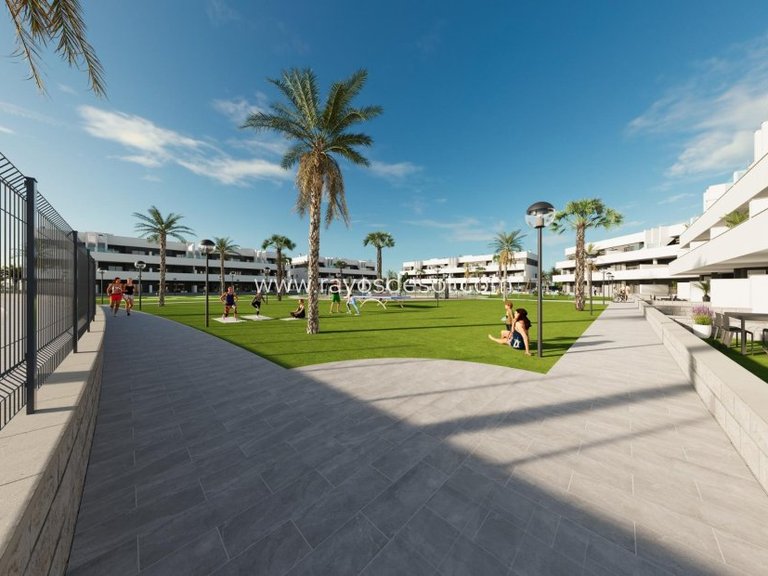 Apartment for Sale in Guardamar Del Segura, Alicante 8