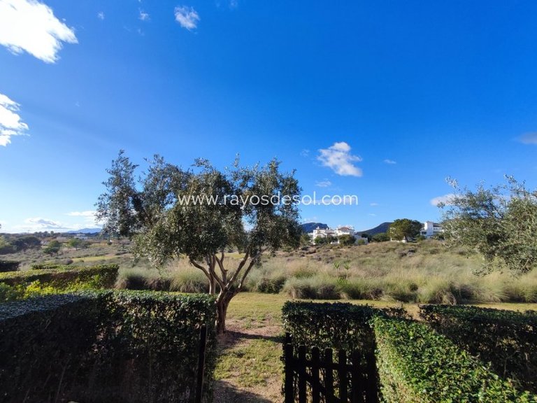Apartment for Sale in Hacienda Riquelme Golf Resort, Murcia 6